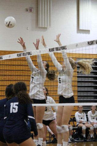 Photo Gallery: Girls volleyball defeats Wharton