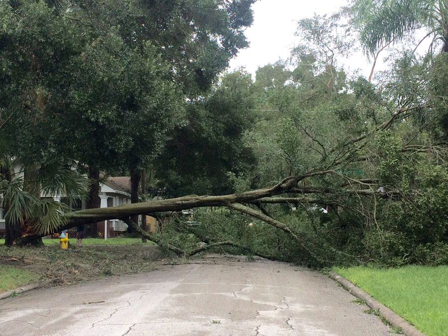 Irma stresses, batters Tampa