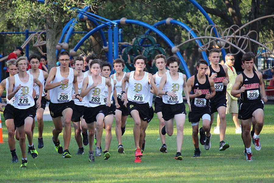 Cross country teams place at Oct. 11 meet