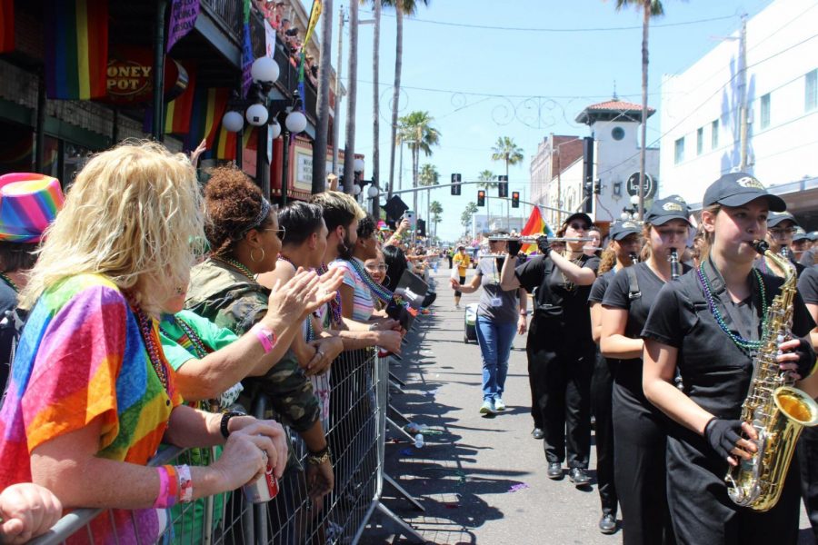 Tampa celebrates diversity pride parade PHS News