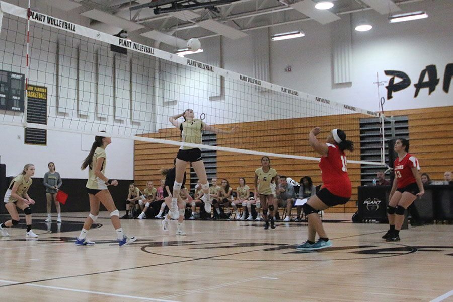 Caught+midair+to+get+to+the+ball%2C+freshman+McKenzie+Nichols+prepares+to+bump+the+ball+over+the+net+Tuesday%2C+Sept.+4.+The+JV+Girls+volleyball+team+won+both+sets+25-14+and+25-10+in+the+gym.+