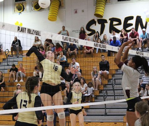 Varsity volleyball defeats Wiregrass Ranch