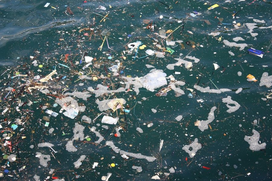 Floating+throughout+all+oceans%2C+trash+is+abundant%2C+affecting+marine+life+and+the+environment.+It+is+predicted+by+the+Center+for+Biological+Diversity+the+amount+of+plastic+will+exceed+the+amount+of+fish+in+oceans+by+2050.+