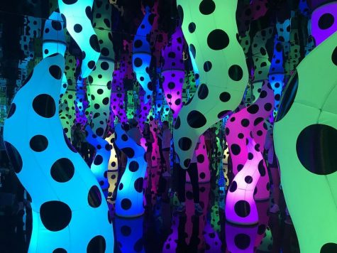 Tampa art exhibit stuns viewers