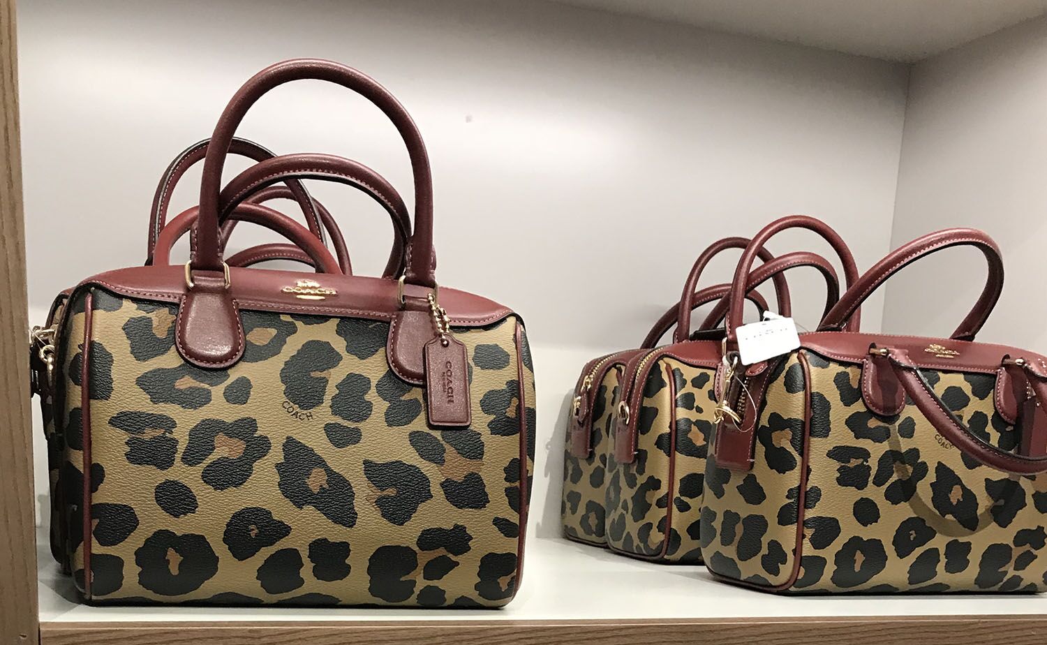 Animal print rises in popularity - PHS News Animal print rises in popularity - PHS News