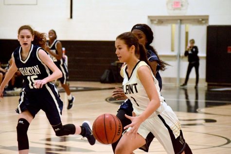 Students host domestic violence awareness event at girls basketball game