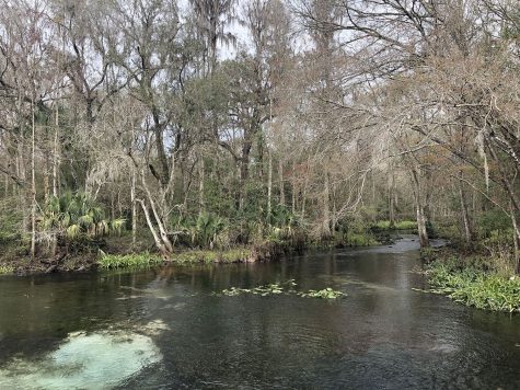 Field trip gives students ecological awareness