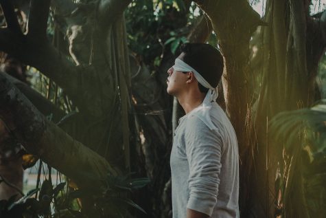 ‘Bird Box’ rises as Netflix’s new thriller