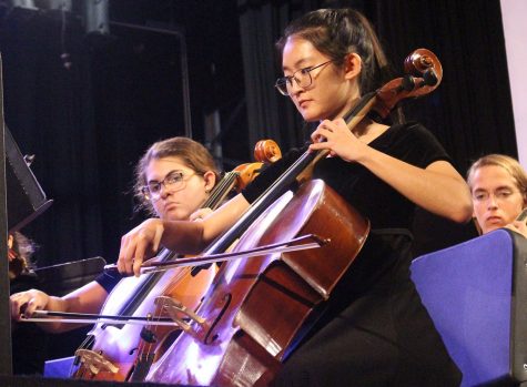 Orchestra puts on combined concert