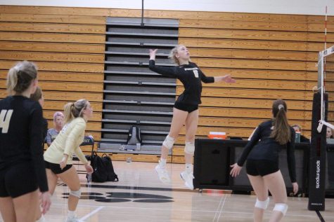 Volleyball defeats Newsome