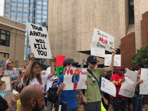 Climate change march held at city hall