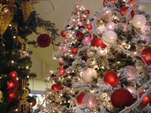 Christmas trees: real or artificial?
