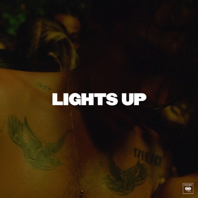 Harry Styles, former member of One Direction, released a new song titled “Lights up” Oct 11. His song has reached the top 5 on the charts, surpassing Shawn Mendes’ Señorita. His song cover features Styles’ infamous tattoos.  