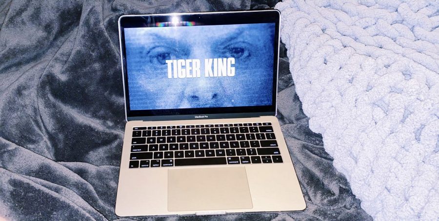 Beginning an episode of the new Netflix original “Tiger King”, the show’s intro appears on the computer screen. “Tiger King” became a very popular show and has been watched by many due to Coronavirus and the quarantine.
