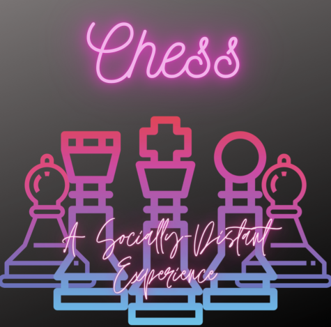 Because of social distancing many people have turned to online games, such as chess, to pass their time. Friends are bonding and smiles are forming, for this socially-distant experience is a lot of fun and easy to access.