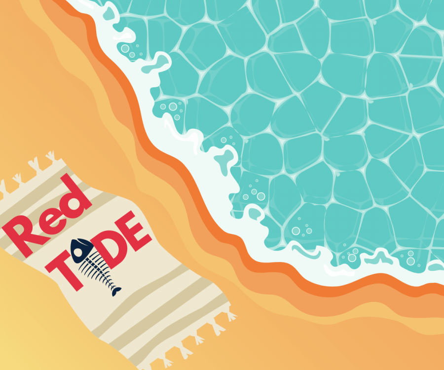 Red Tide is still affecting the St. Petersburg waters. Learn how to stay safe and take certain precautionary measures while still enjoying the beaches. 
