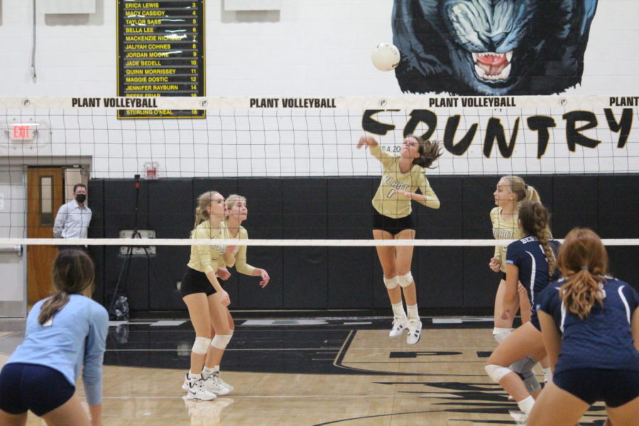 JV Girls Volleyball won against Berkeley on September 21. Plant won 2 sets, securing the win for Plant; the scores for the sets were 25-18 for the first set, 16-25 for the second, 15-9 for the third. The JV volleyball team now has a 3-0 record. 