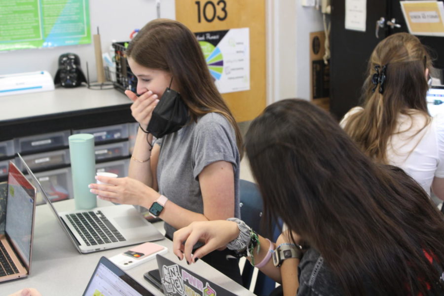 PHS Newspaper Staff sampled a lot of different variations of Goldfish which prompted a lot of different reactions. For your convenience, the staff ranked all the different flavors we sampled. 