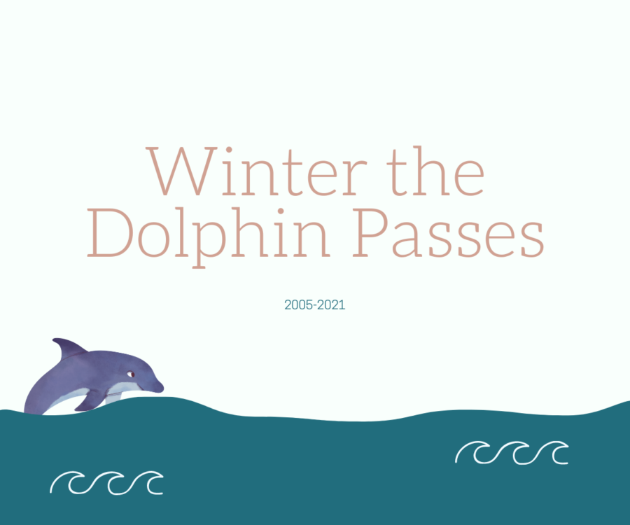After+being+at+the+Clearwater+Marine+Aquarium+for+16+years%2C+Winter+the+Dolphin+passes+on+Nov.+11.+