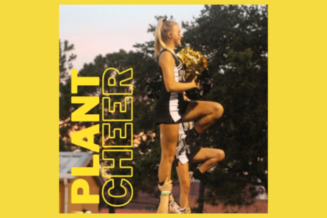 What has lead to the recent success of the Plant High cheer team? And will they make it back to states this year?