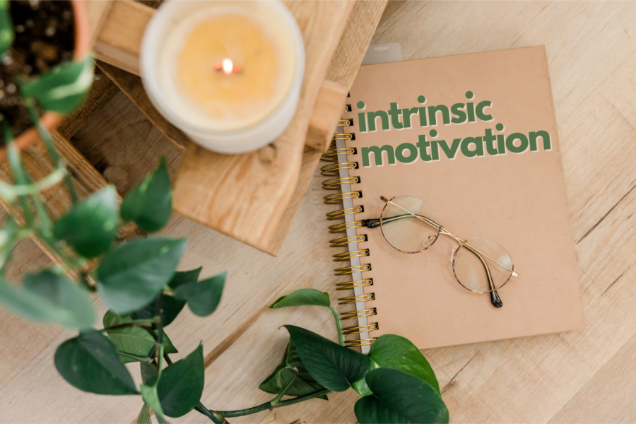 Intrinsic motivation is defined as the doing of an activity for its inherent satisfaction rather than for some separable consequence. When intrinsically motivated, a person is moved to act for the fun or challenge entailed rather than because of external products, pressures, or rewards.