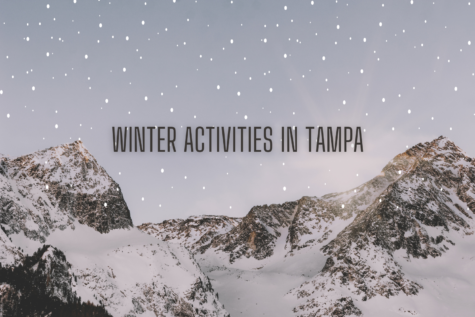 Tampa is a buzzing city throughout the holiday season, with many festive activities to participate in. Keep reading the list below to find out what attractions are here. 