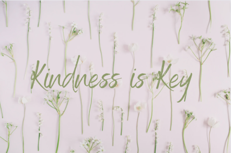There are many ways to demonstrate kindness. Holding the door for someone, smiling at someone, introducing yourself to someone sitting alone. Most importantly, kindness never goes out of style.   
