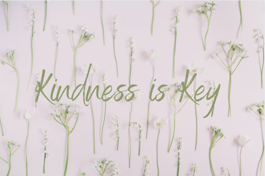 There+are+many+ways+to+demonstrate+kindness.+Holding+the+door+for+someone%2C+smiling+at+someone%2C+introducing+yourself+to+someone+sitting+alone.+Most+importantly%2C+kindness+never+goes+out+of+style.+++