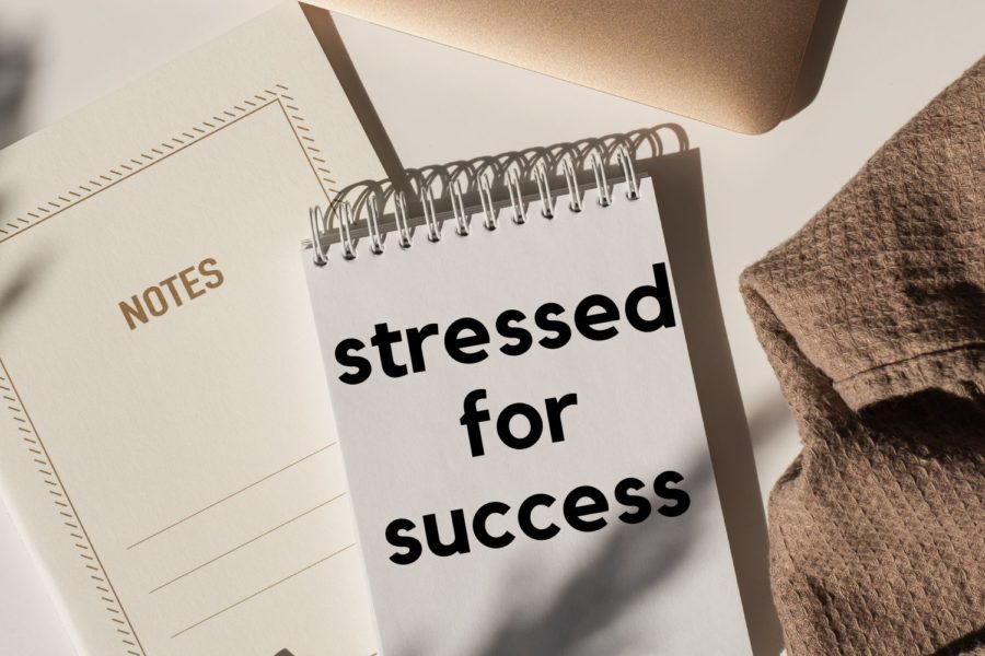 Stressing+over+school%2C+work%2C+friends%2C+and+family+has+taken+over+the+lives+of+teens.+There+are+many+ways+to+reduce+stress+and+relax+when+feeling+overworked.+Keep+reading+to+learn+more.+