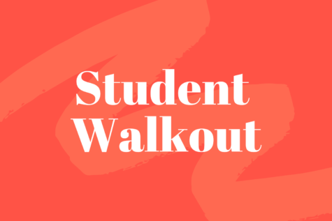 The walkout was organized to occur at 3:10, during students 8th period. Participants stood in front of Plant, holding signs promoting LGBT+ and Trans rights along with a variety of LGBT+ related flags. 