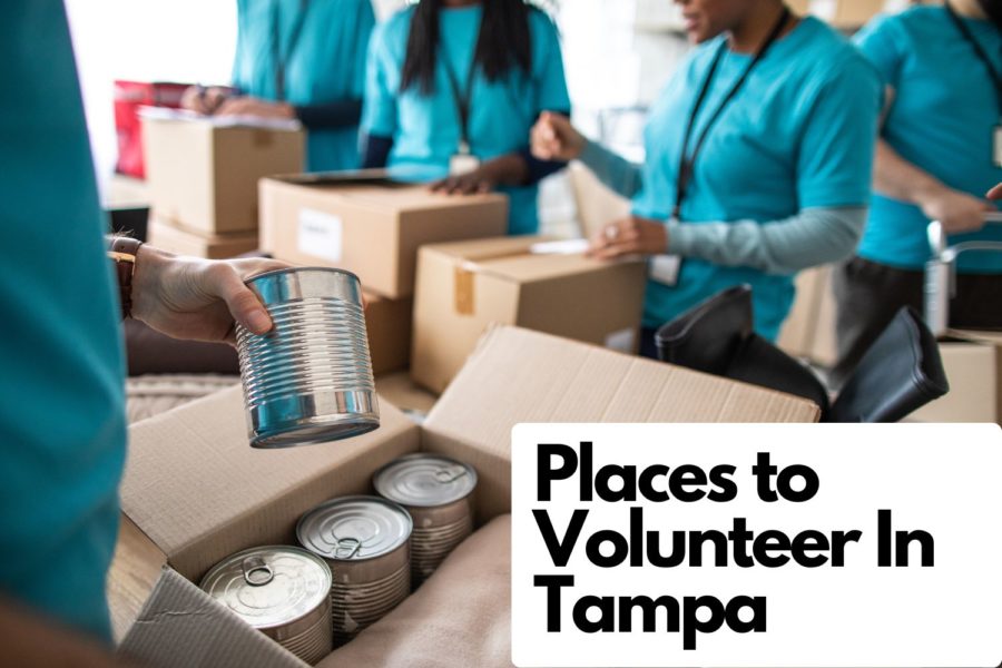 Volunteering in the community is important to helping people in need and making the city a better place to live. Keep reading to discover different organizations with volunteer opportunities to become a part of.  