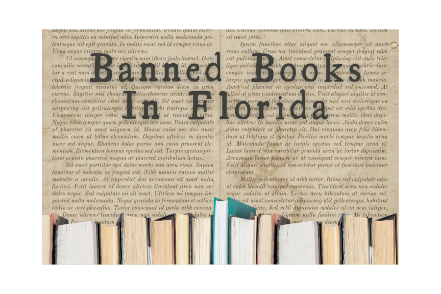 Book+bans+have+been+a+hot+topic+of+debate+ever+since+they+were+brought+up+by+Ron+Desantis.+But+the+reasons+they+apply+for+specific+books+being+banned+don%E2%80%99t+make+any+sense.+