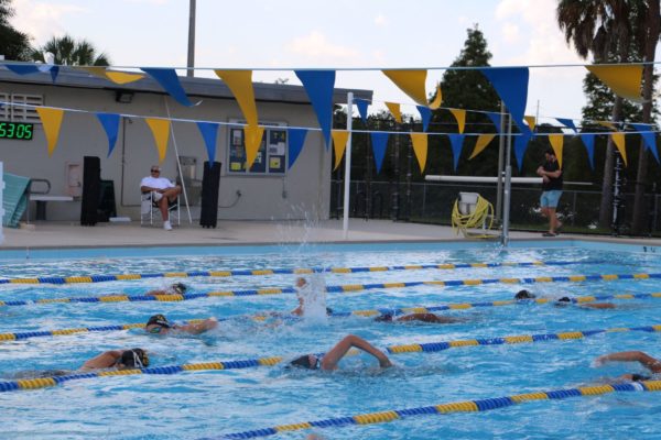 Diving Into the New Season