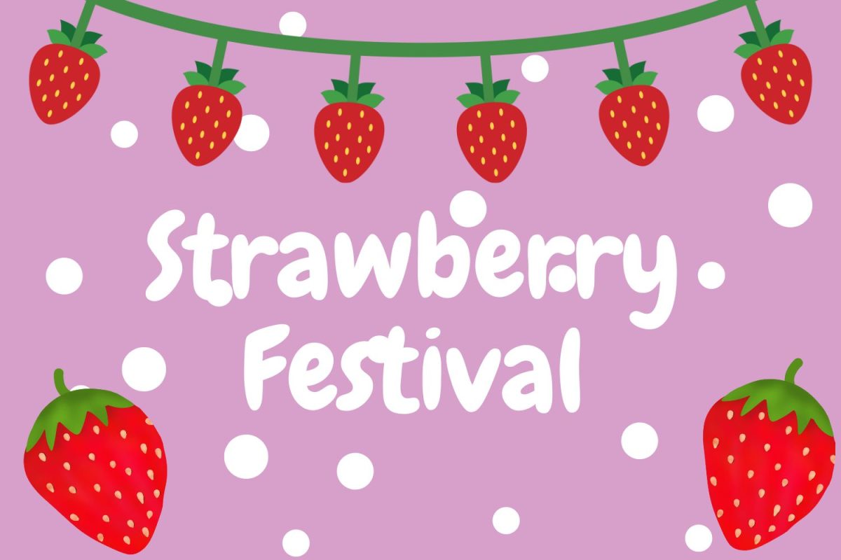 The Strawberry Festival is an annual event held every year in Plant City. This festival has free entertainment, many rides, and strawberries prepared in as many ways as you can think of. There are different discounts every day of this festival, so be sure to check it out. 