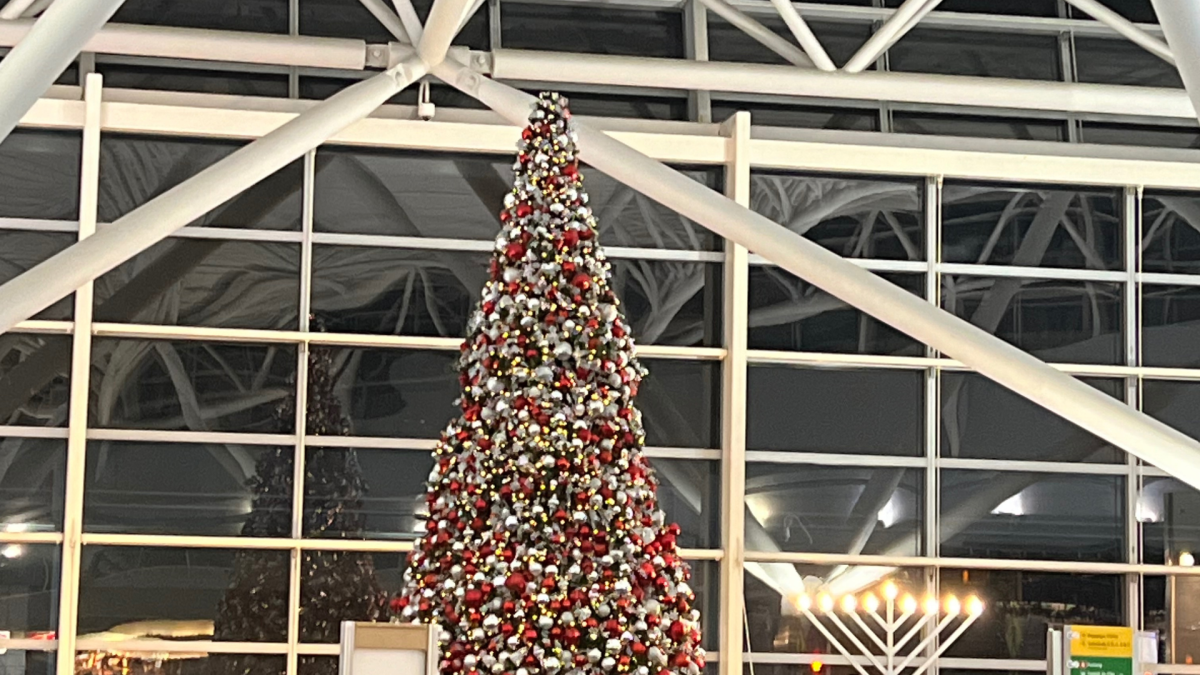 Newark Liberty International Airport has unveiled its Christmas tree for the holiday season. More then five million people are expected to travel through the airport for the holiday season. 