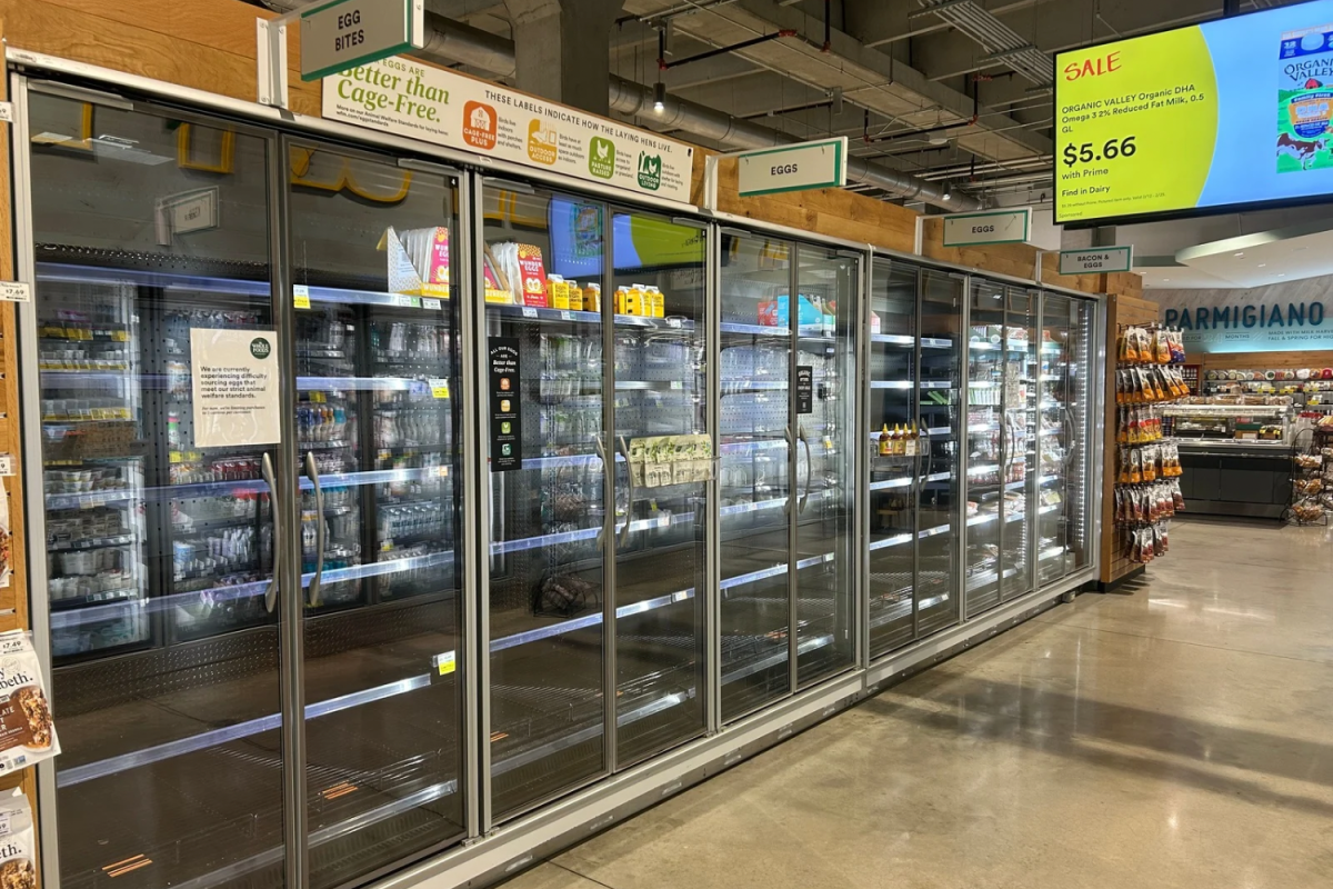 Empty shelves at a local grocery store highlight the global scarcity of eggs. The avian flu began to spread in 1997, but contamination levels have grown significantly since the first outbreak.