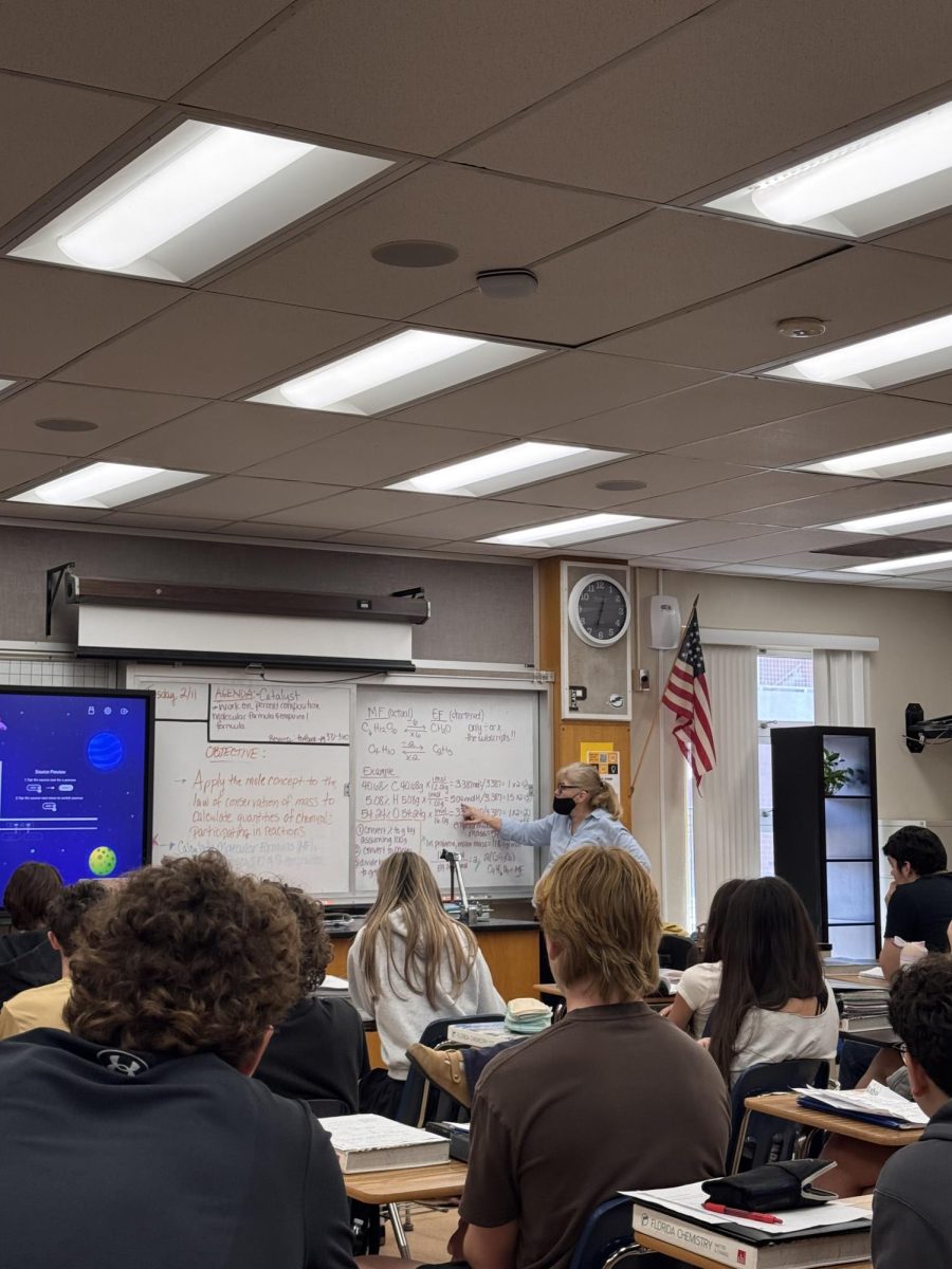 Michelle San George explains a lesson to her students at Plant High School in Tampa, Fl. San George encouraged class participation as students reviewed the material together. 