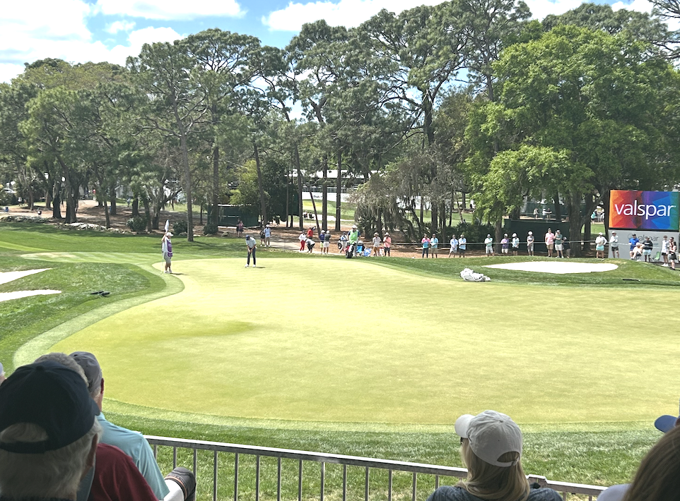 The Valspar Championship, one of many PGA Tour events, is held in Tampa, Fl every year. Some winners of the Valspar have gone on to compete in the Ryder Cup.