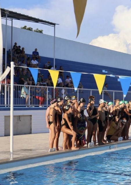 Plant's Swim and Dive team cheers on teammates during the relay. The encouragement for each swimmer demonstrated unity throughout the team.
