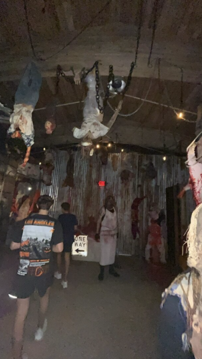 Howl-O-Scream is a fall attraction that offers a variety of experiences, including scare zones, thriller roller coasters, and haunted houses. The event featured a mix of new additions and returning elements, providing a range of options for both first-time visitors and those who returned year after year.