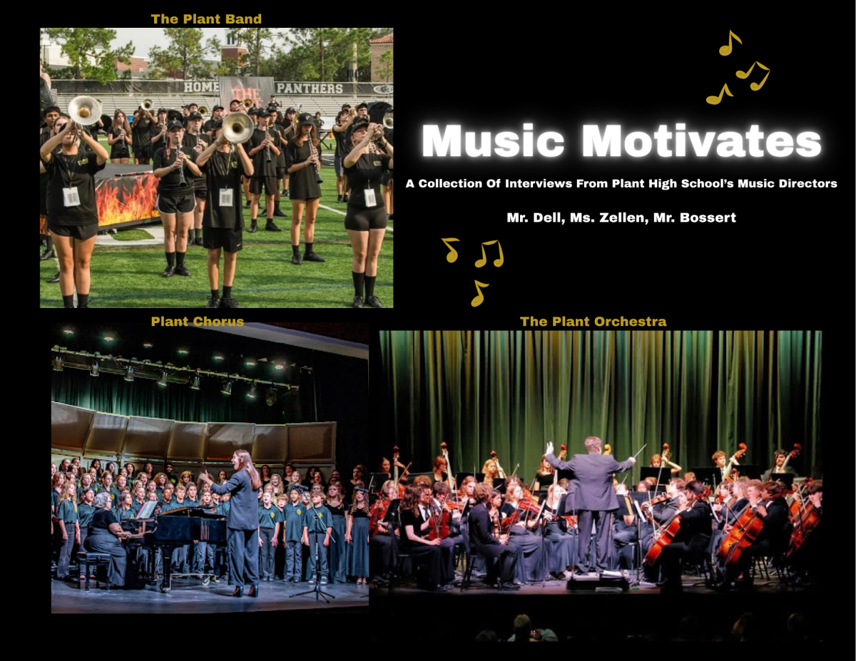 Plant High School is home to young, successful musicians led by teachers full of musical wisdom and accomplishments to share. Three teachers stood out to their students, for their artistic accomplishments.