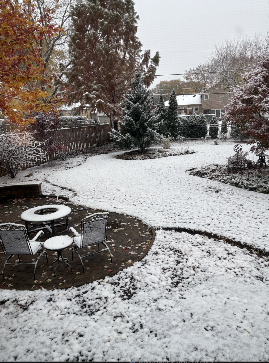 A winter storm dumps snow into a backyard. Many cities in the Eastern United States saw cold temperatures.