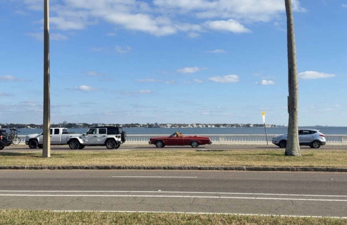 Bayshore Boulevard is a popular place to exercise among students at Plant High. Exercise has been increasingly popular among teenagers, becoming parts of their daily routines.
