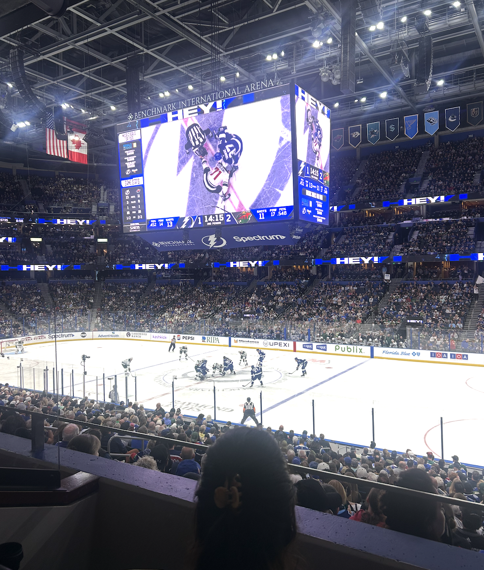 Lightning celebrates after winning another game. On Tuesday, March 24, the Tampa Bay Lightning beat the Minnesota Wild five-three.