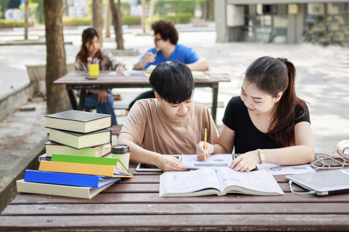 English has always been a required subject for Freshman at Plant. Many freshmen have developed very strong opinions about the teachers for these english classes.
